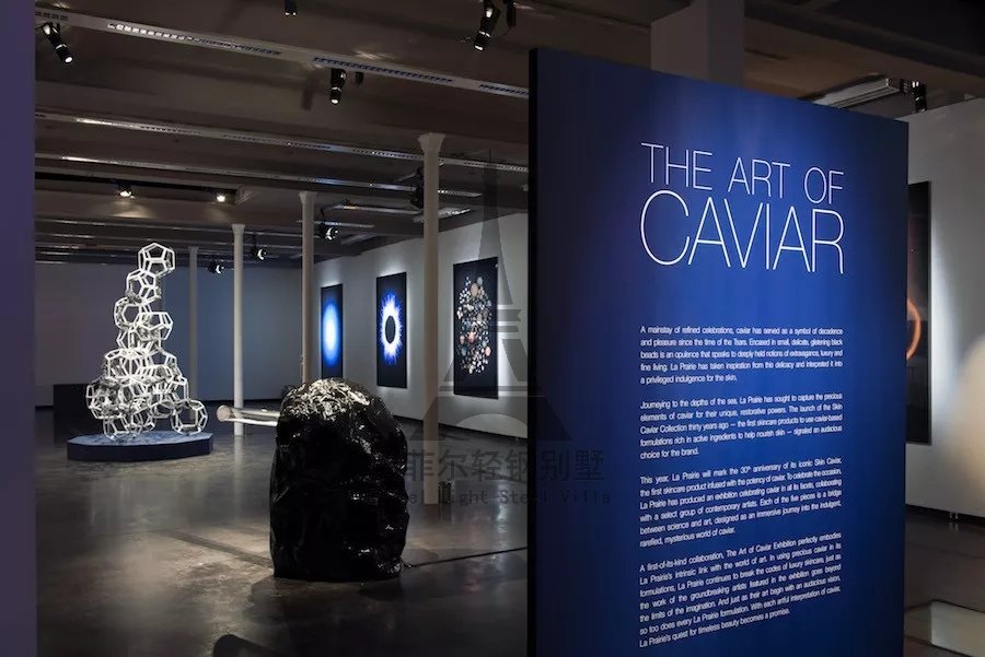 1573182587517798.jpg 640.webp.jpg